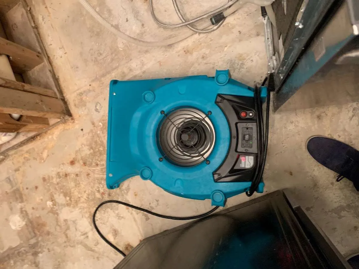 Air mover drying equipment for Mold Remediation & Removal in Artesia